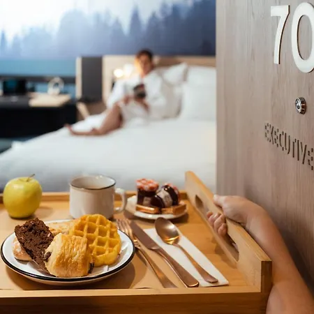Novotel Centre - Porte De Geneve アンヌマス