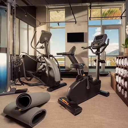 Novotel Centre - Porte De Geneve 4* アンヌマス