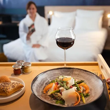 Hotel Novotel Centre - Porte De Geneve Annemasse